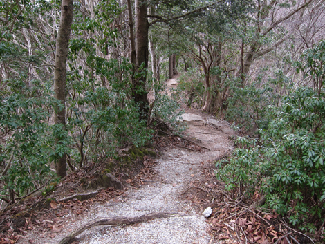 20200110hike (284)